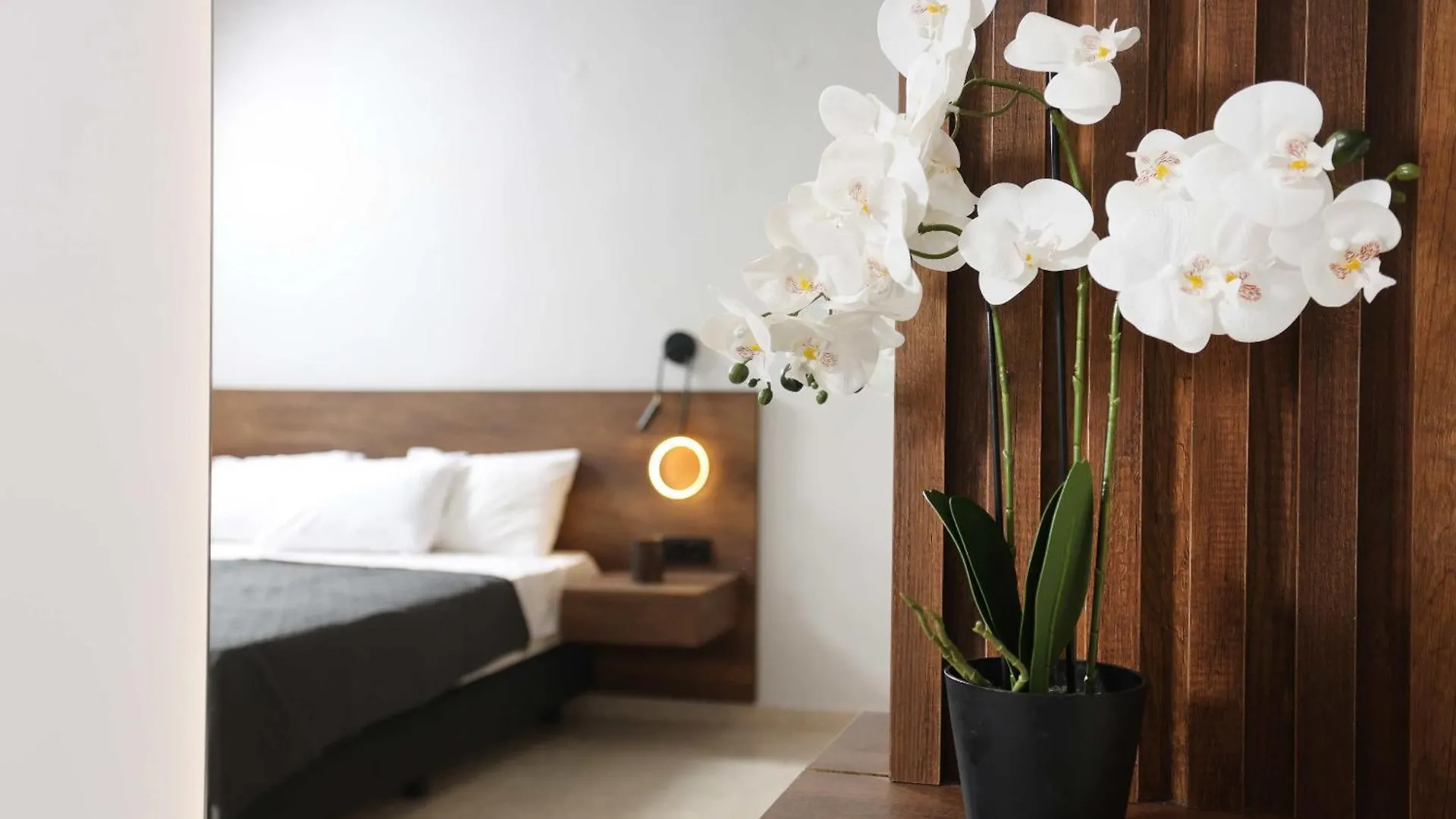 Danae Comfort Living Pefkochori